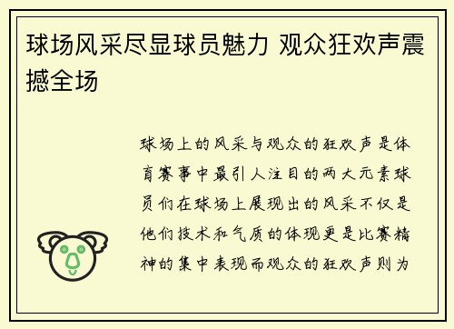 球场风采尽显球员魅力 观众狂欢声震撼全场
