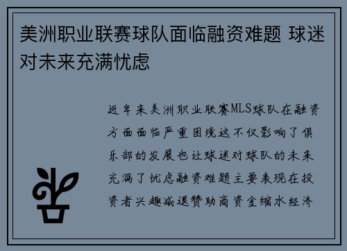 美洲职业联赛球队面临融资难题 球迷对未来充满忧虑