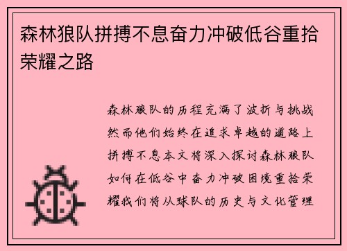 森林狼队拼搏不息奋力冲破低谷重拾荣耀之路