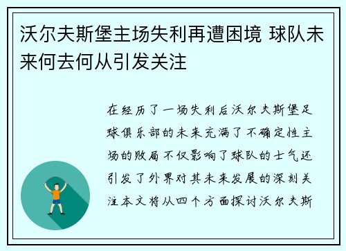 沃尔夫斯堡主场失利再遭困境 球队未来何去何从引发关注