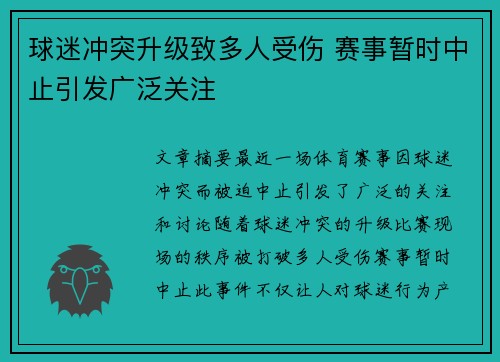 球迷冲突升级致多人受伤 赛事暂时中止引发广泛关注